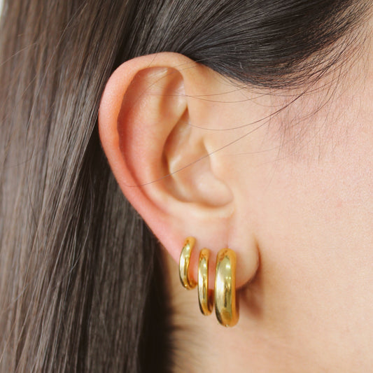 Aretes "renne"