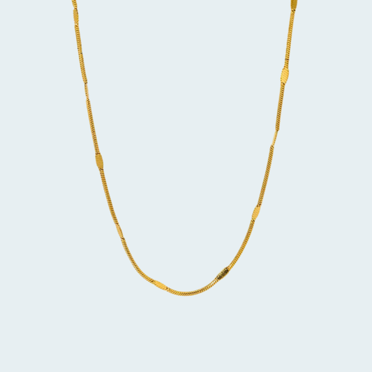 Collar "everyday wear"