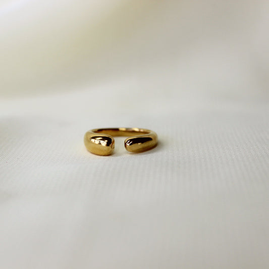Anillo "paule"